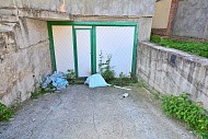 д. Нижнее Велино, Раменский р-н,
